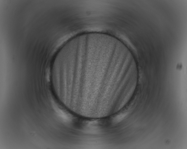 X0000092290068200710121442