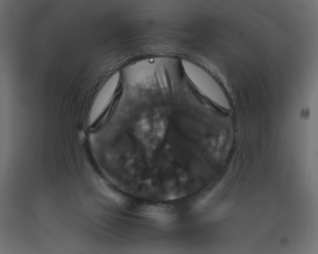 X0000092290069200710121442