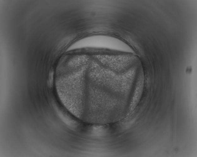 X0000092290070200710121442