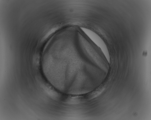 X0000092290072200710121442