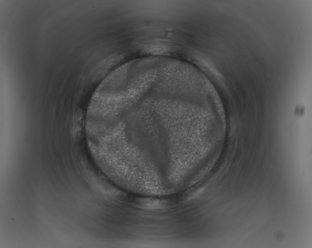 X0000092290073200710121442