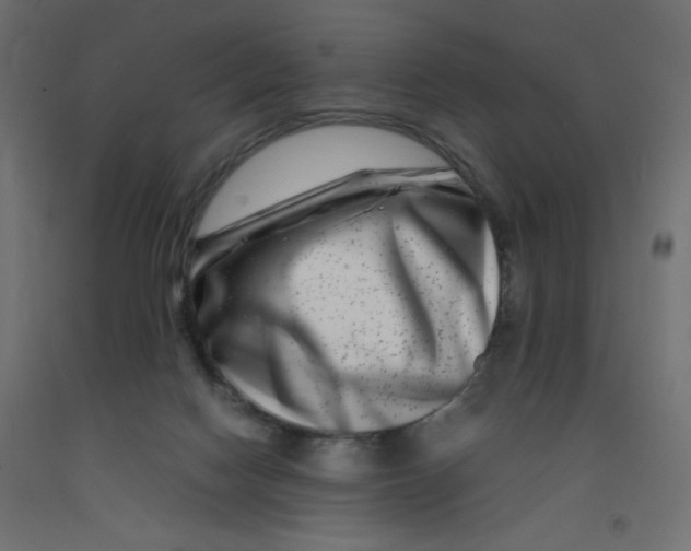 X0000092290074200710121442