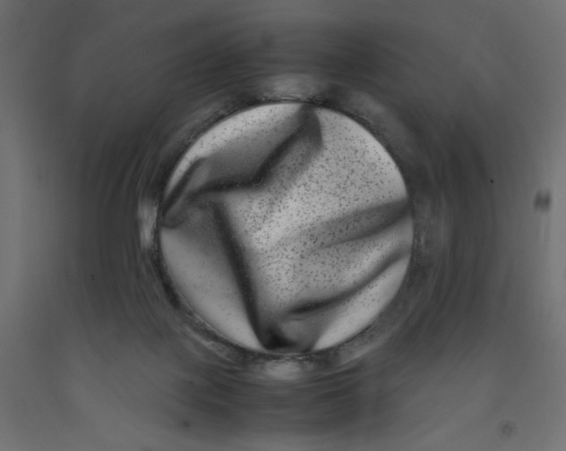 X0000092290075200710121442