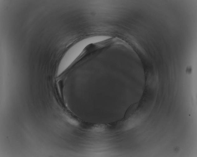 X0000092290076200710121442