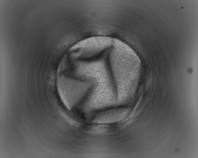 X0000092290078200710121442