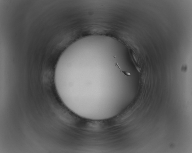 X0000092290079200710121442