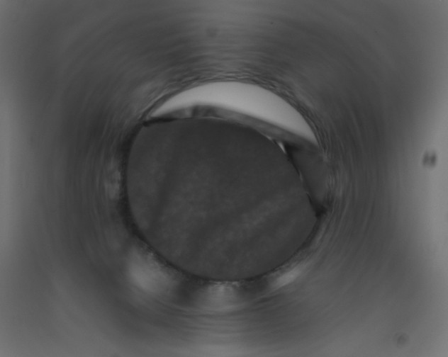 X0000092290080200710121442