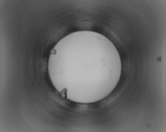 X0000092290083200710121442