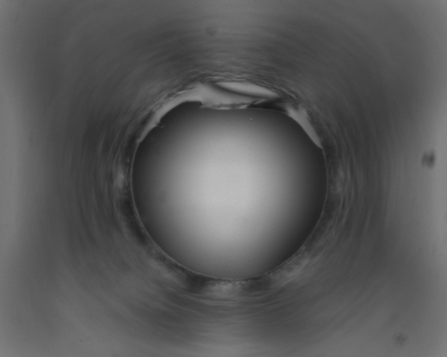 X0000092290084200710121442