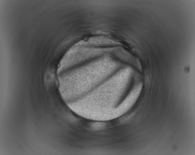 X0000092290085200710121442