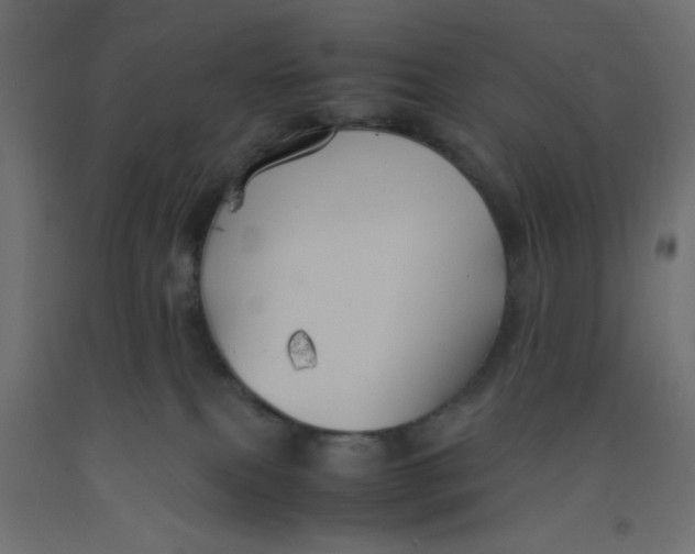 X0000092290087200710121442