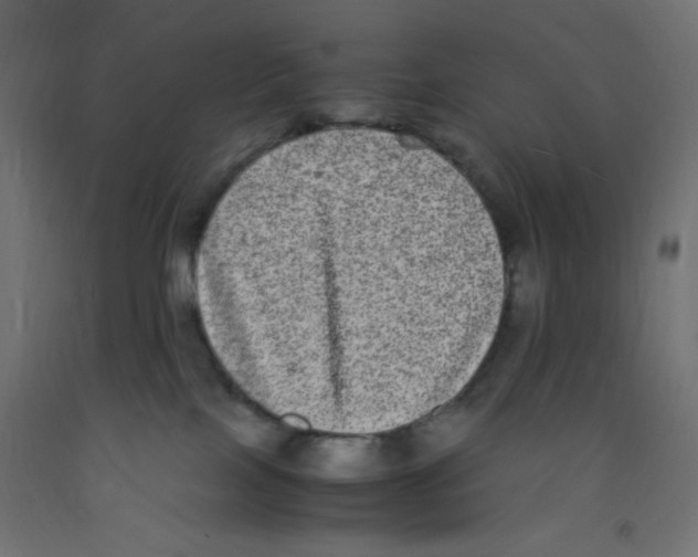 X0000092290089200710121442