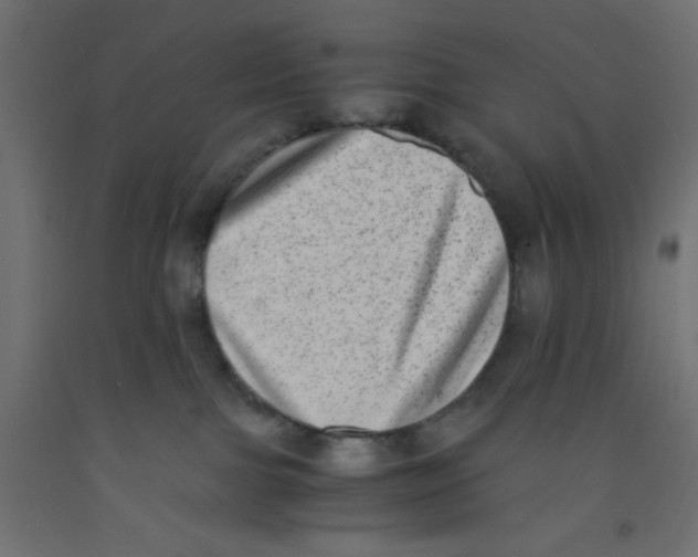 X0000092290091200710121442