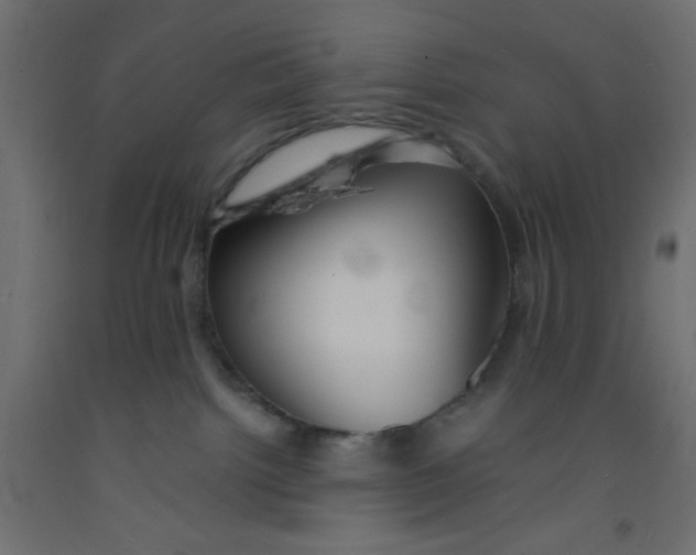 X0000092290092200710121442