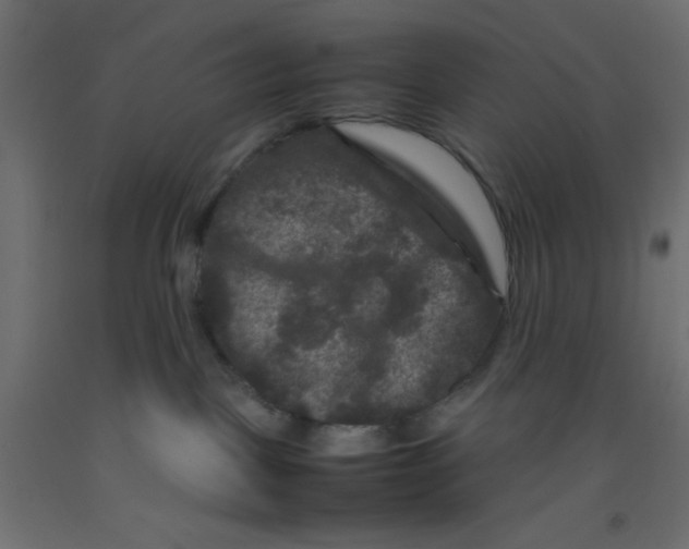 X0000092290093200710121442