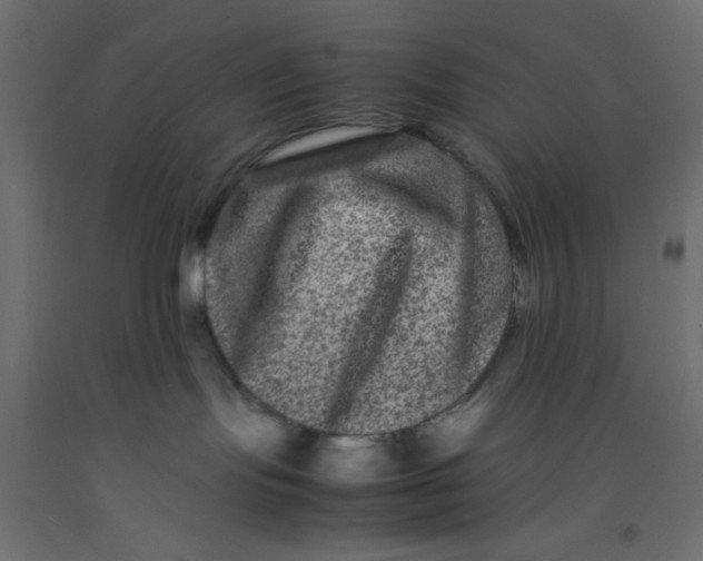 X0000092290095200710121443