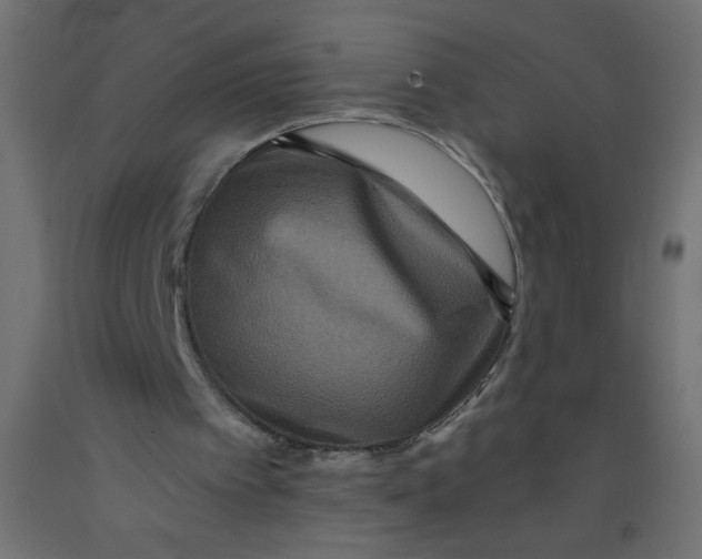 X0000092290097200710121442