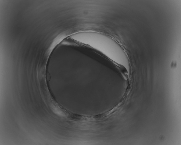 X0000092290099200710121442