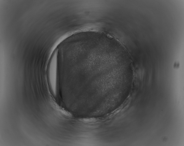 X0000092290100200710121442