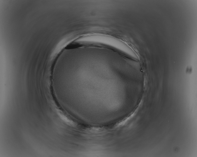 X0000092290101200710121442