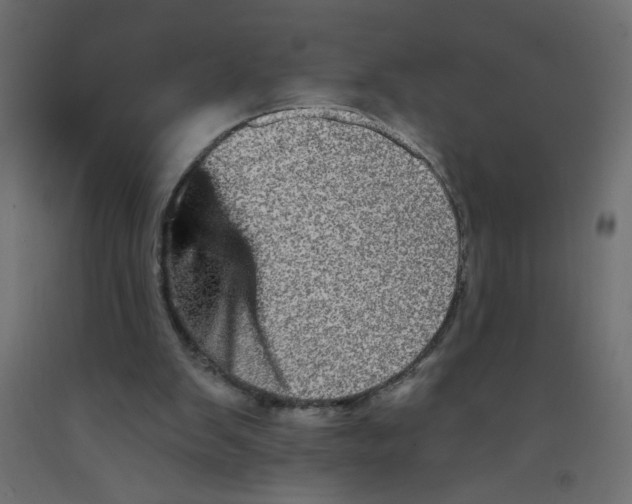 X0000092290103200710121442