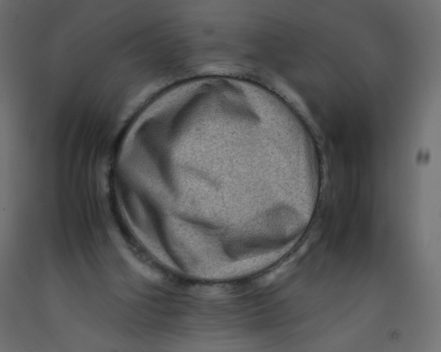 X0000092290106200710121442