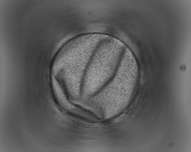 X0000092290107200710121442