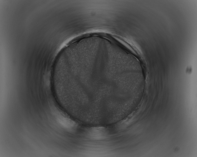 X0000092290108200710121442