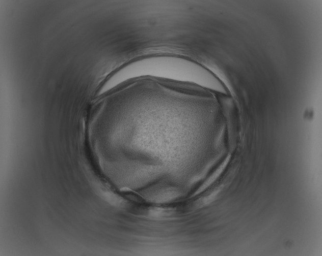 X0000092290109200710121442