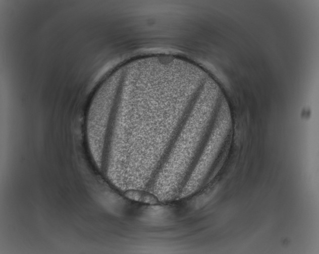 X0000092290111200710121442