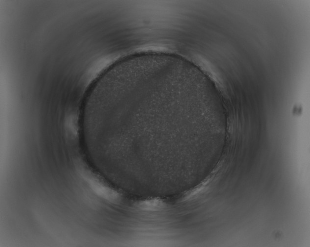 X0000092290112200710121442