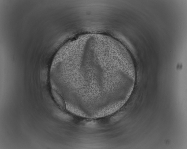 X0000092290113200710121442