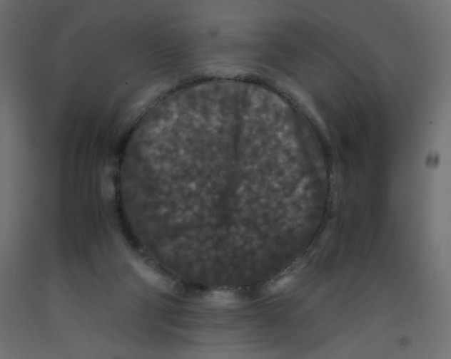 X0000092290114200710121442