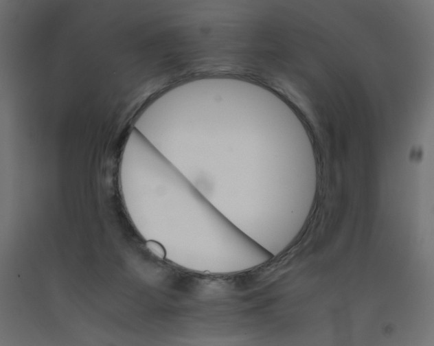 X0000092290115200710121442