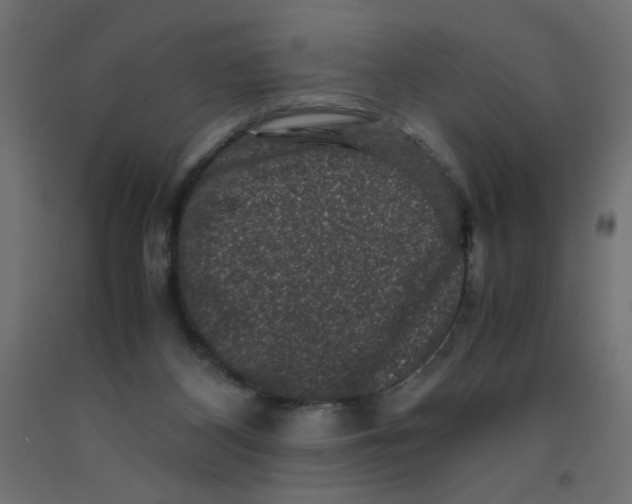 X0000092290116200710121442