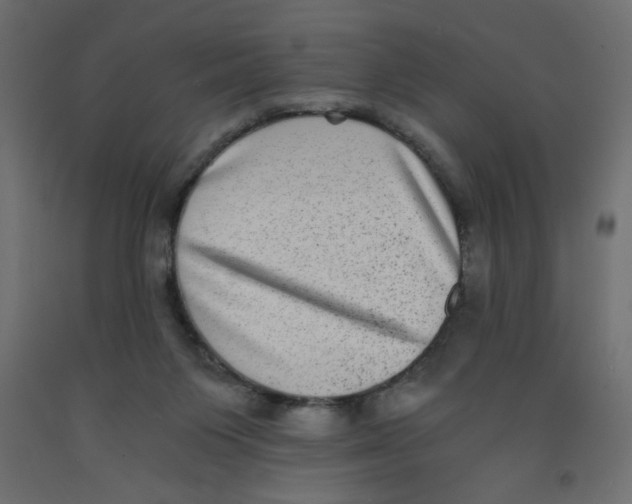 X0000092290119200710121442