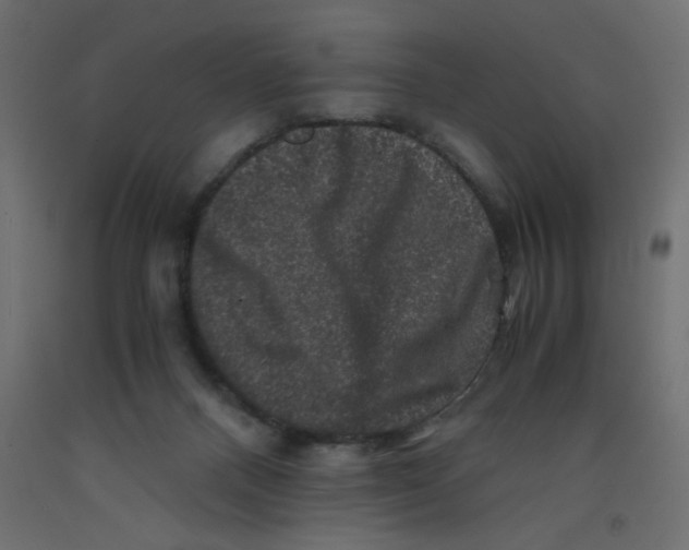 X0000092290120200710121442