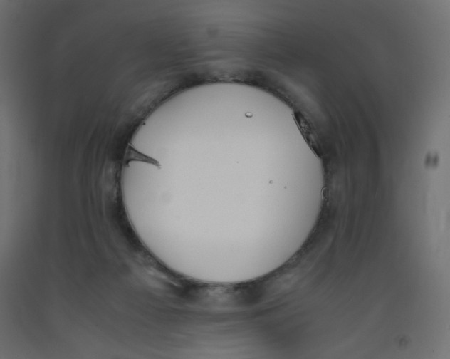 X0000092290121200710121442