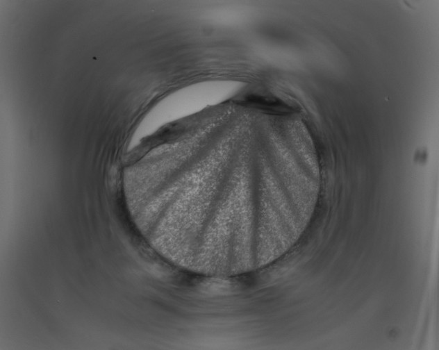 X0000092290123200710121442