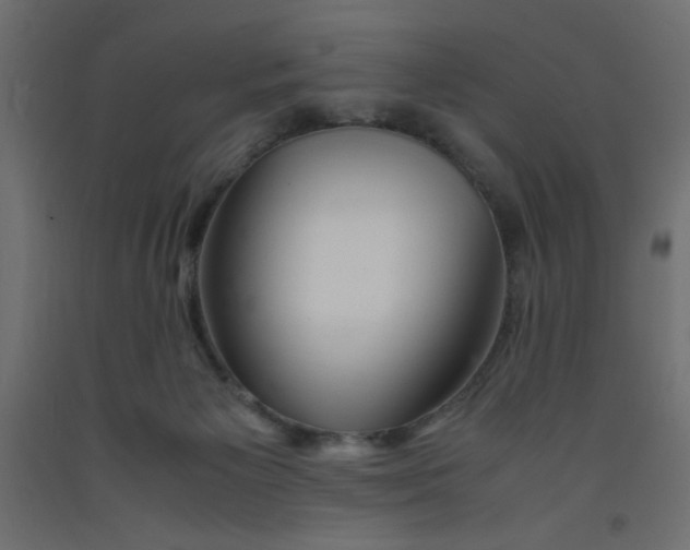 X0000092290125200710121442