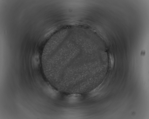 X0000092290128200710121442