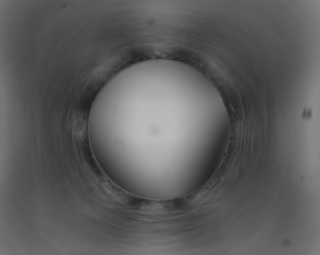 X0000092290129200710121442