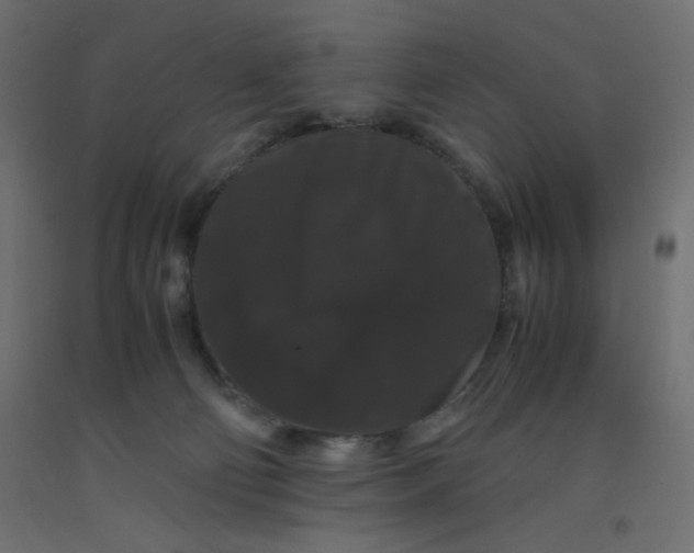 X0000092290130200710121442