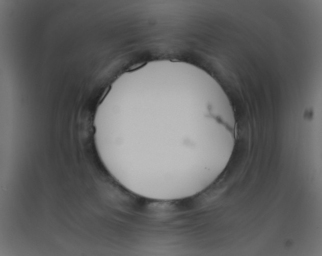 X0000092290133200710121441