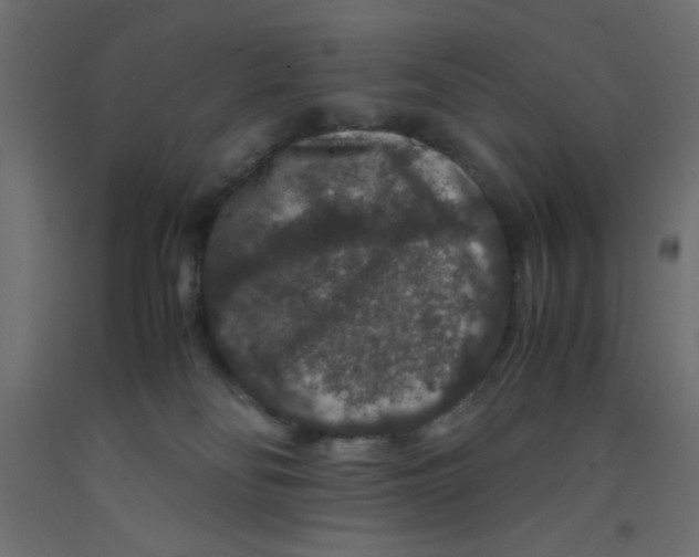 X0000092290134200710121441