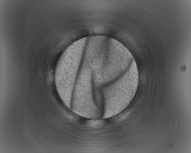 X0000092290135200710121441