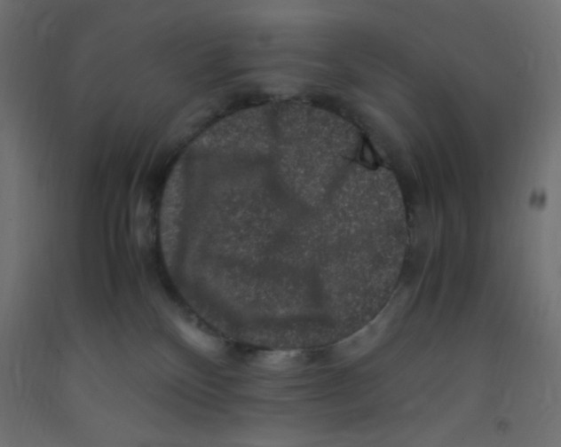 X0000092290136200710121441