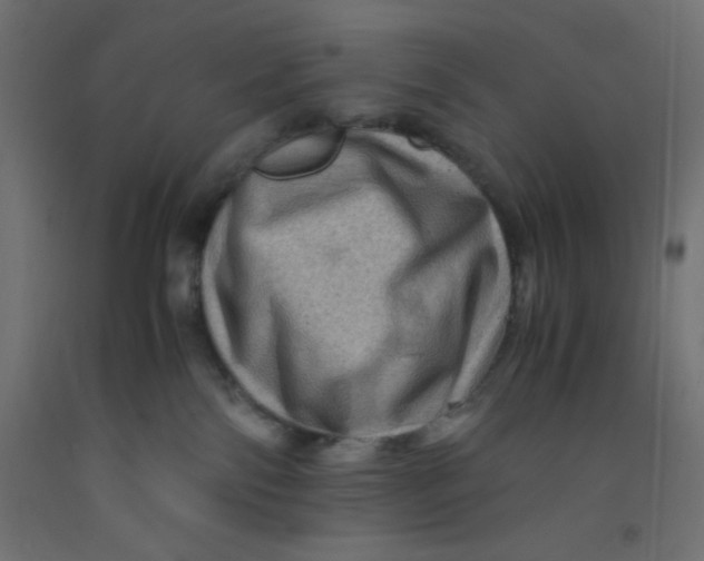 X0000092290138200710121441