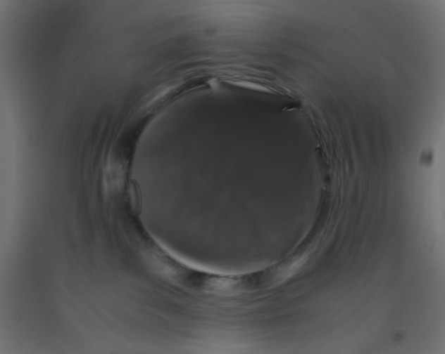 X0000092290139200710121441