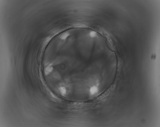 X0000092290145200710121441